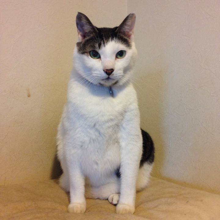 6021e3dc 181e 4ef0 94dc e94369b6b6c6