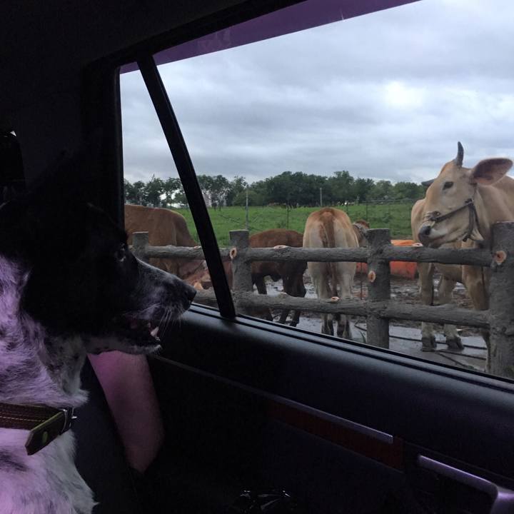 6021ed6c b01c 4872 93d4 2e548156f912