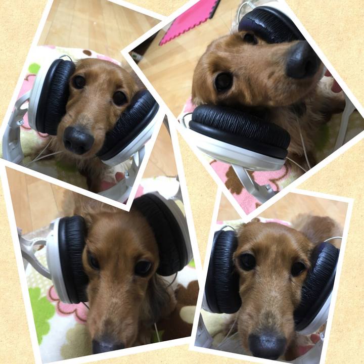 6021f9b0 c54f 4738 8adb fa8aa9087b84