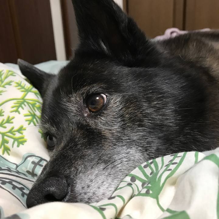 60221da8 bec5 4cee a4fc 61ca3b666b0b