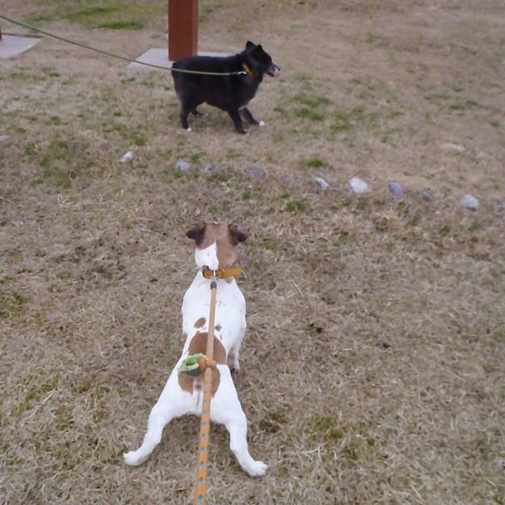 6022a726 c51f 4ac9 898e 2300d4746034