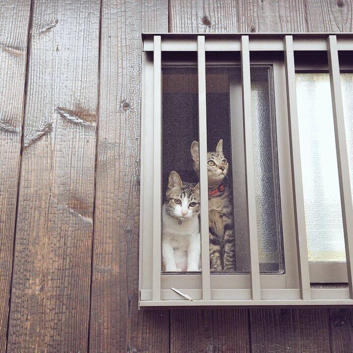 602313c2 8c82 4486 bb5a bfdae8a66937