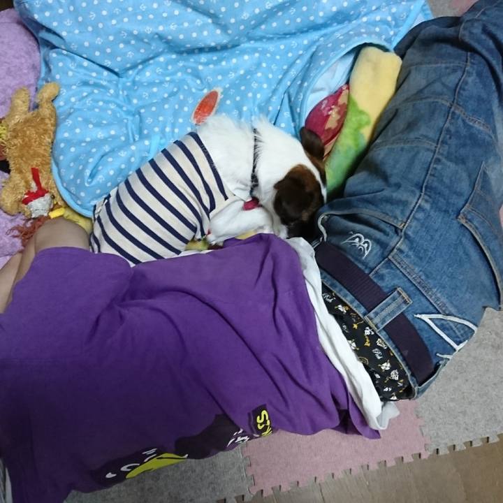 6023d986 f4f8 49c4 a37d 27e89bfd5ec8