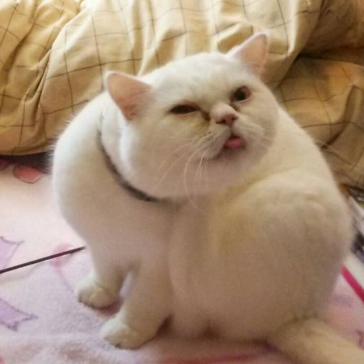 6023e798 6a12 4910 9e81 ac17b2145b33