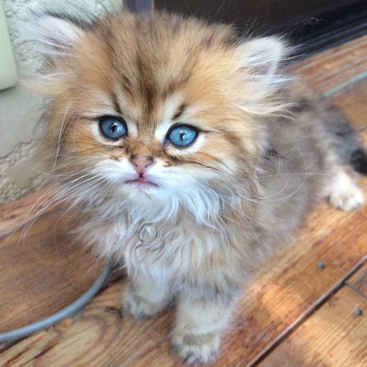 6023ffd5 8f63 4730 b48c 27513409420e