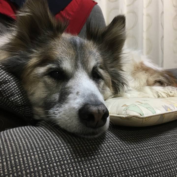 60240a29 5b92 4326 83cb 3ed03924743b