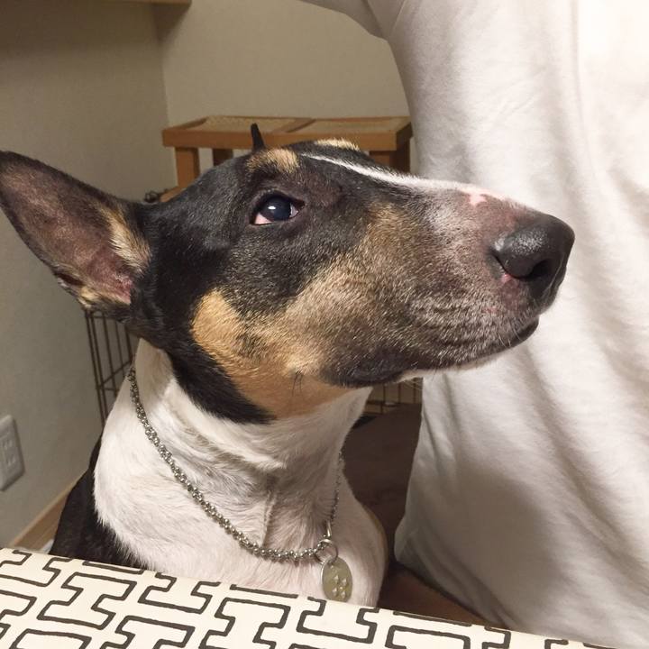 60257257 6fb8 4cc7 b10b 8ff755d20a0d