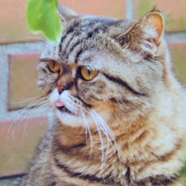 6025c157 d002 44eb a66e e2dd565796a4