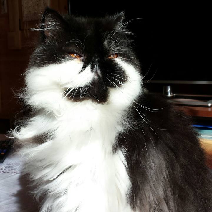 60261f93 01e1 4e87 8000 eadb1301f443