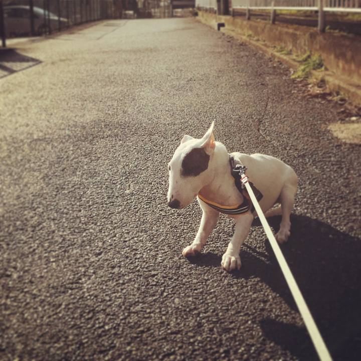 602622cf a2df 476b 8554 ff2806efda57