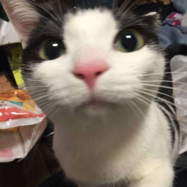 602656a1 7768 45fb 93d7 4f9712645071