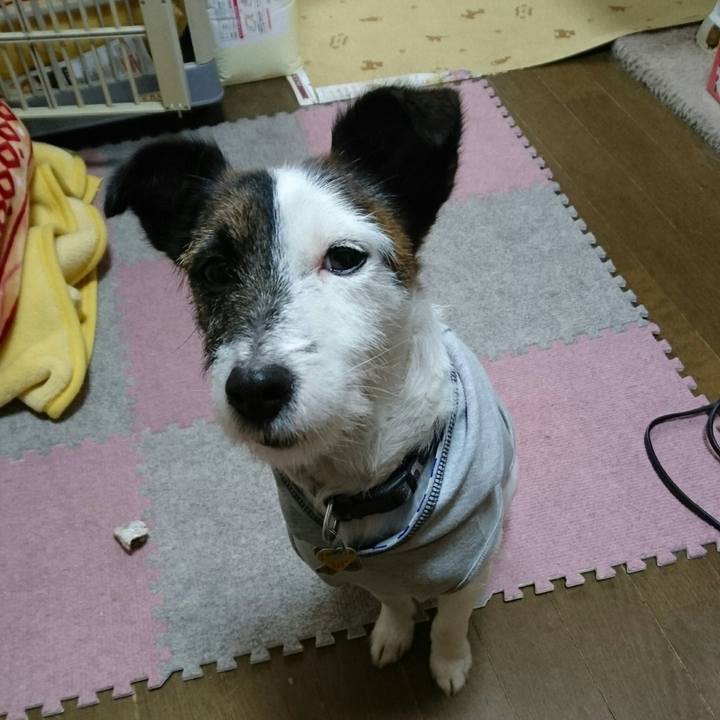 6026bf9f c375 4eea b19b ab689980ee82