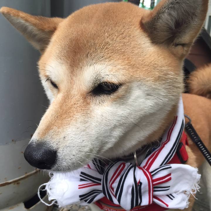 602768b5 2657 4c5d 9295 eb385a6a4018