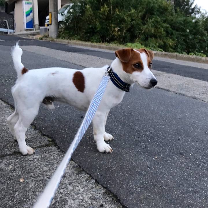 6028163c 8dc8 4730 9fe1 bfc21460114c