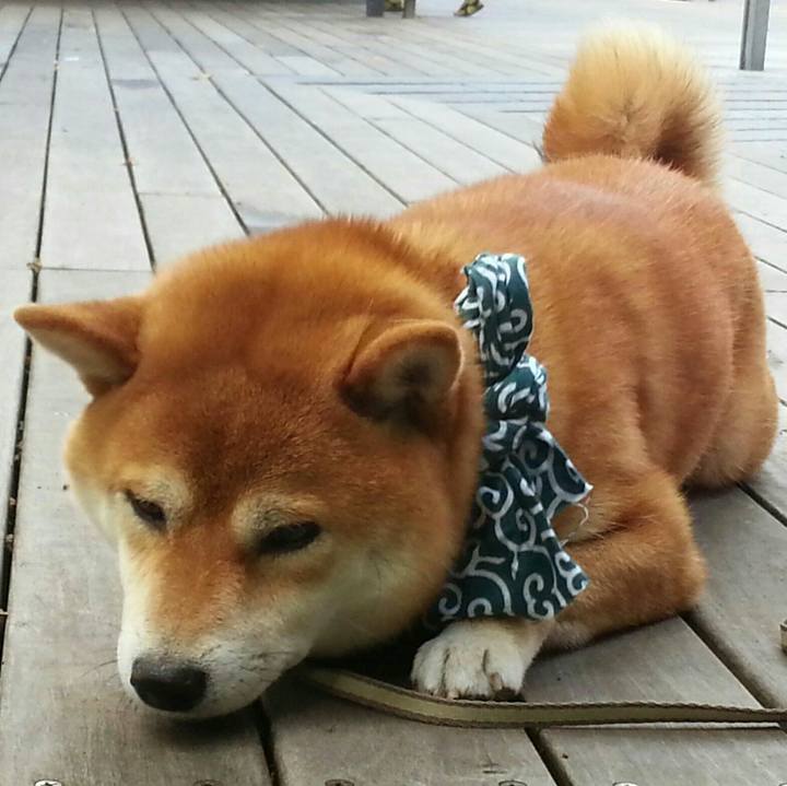 60285b34 cb29 4e3f 9f54 ea7162aafaa6