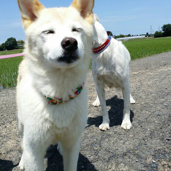 60286c77 921d 4a39 b3a9 275f86699e38