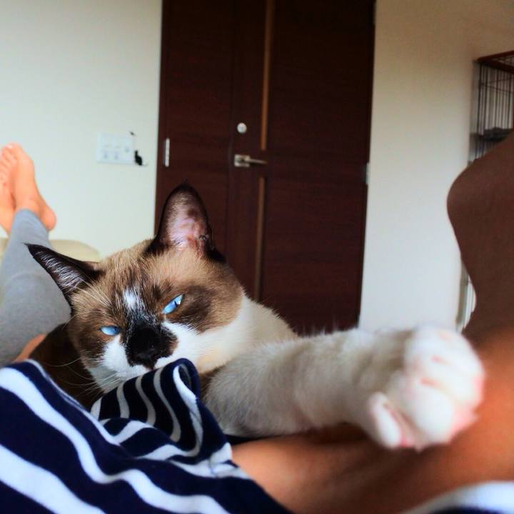 6028a5ee 3bda 4e67 89bb b83bd12bf6dd