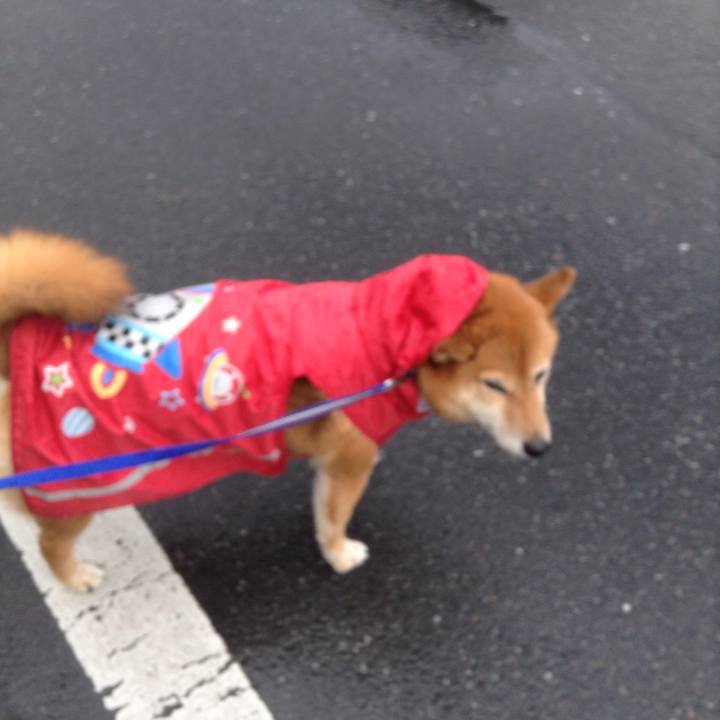 60294d23 1980 4534 bb7a 8046d3fe7f13