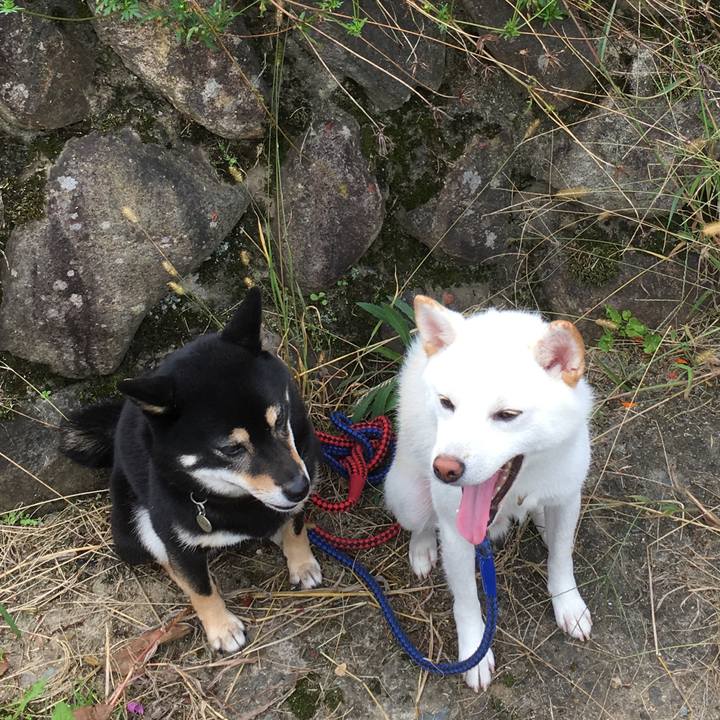 6029b82e 7dee 4130 8fdc be1fe882dec9