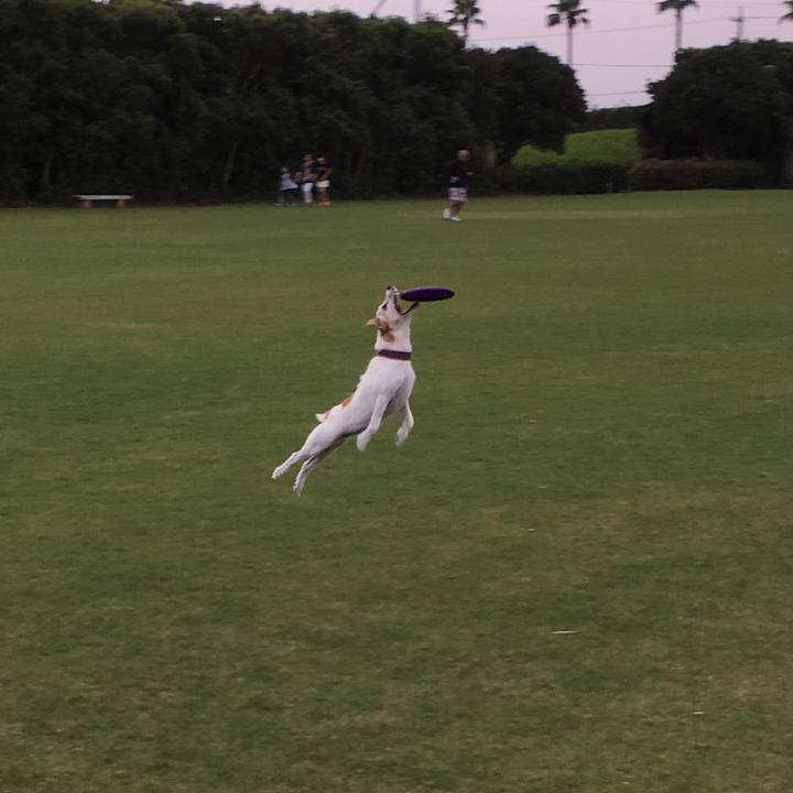 602a3aeb aea7 47a7 b5f8 c742958959c9