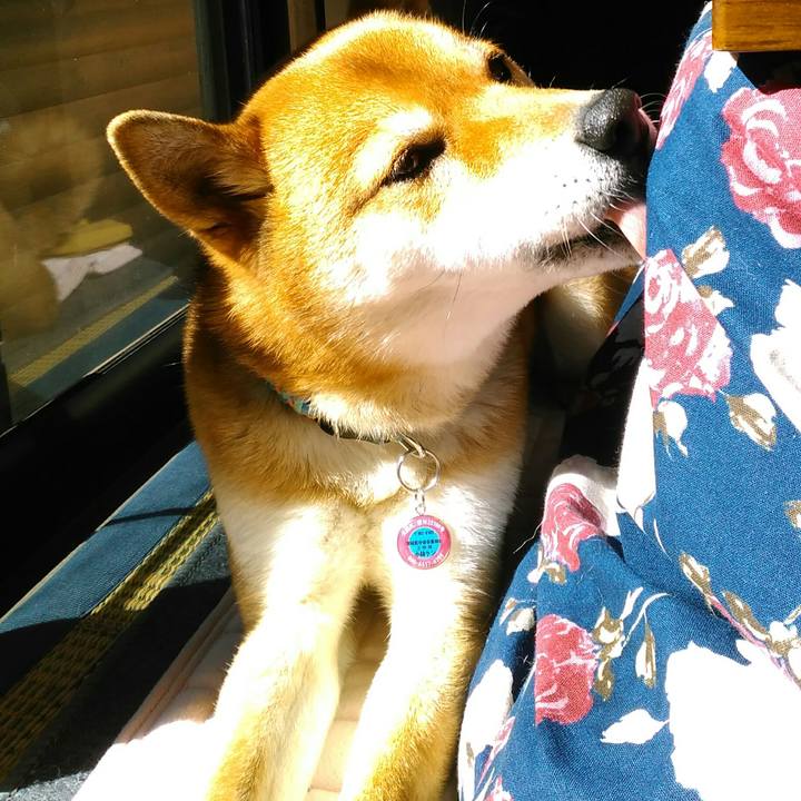 602b7c38 73f0 4f07 873a 2c7a97003aad