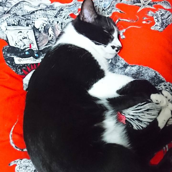 602c09b2 5657 494e b3e6 1fbcedf4b0f8