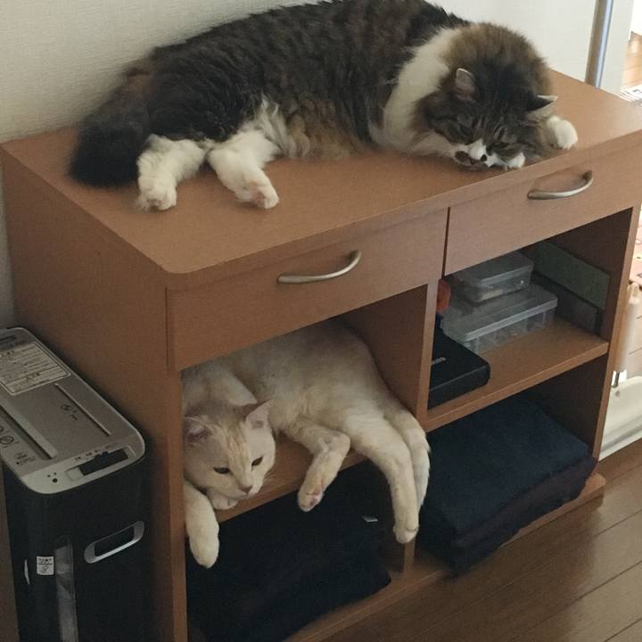 602c5852 9fd5 481a 96a7 20881a4fe52c