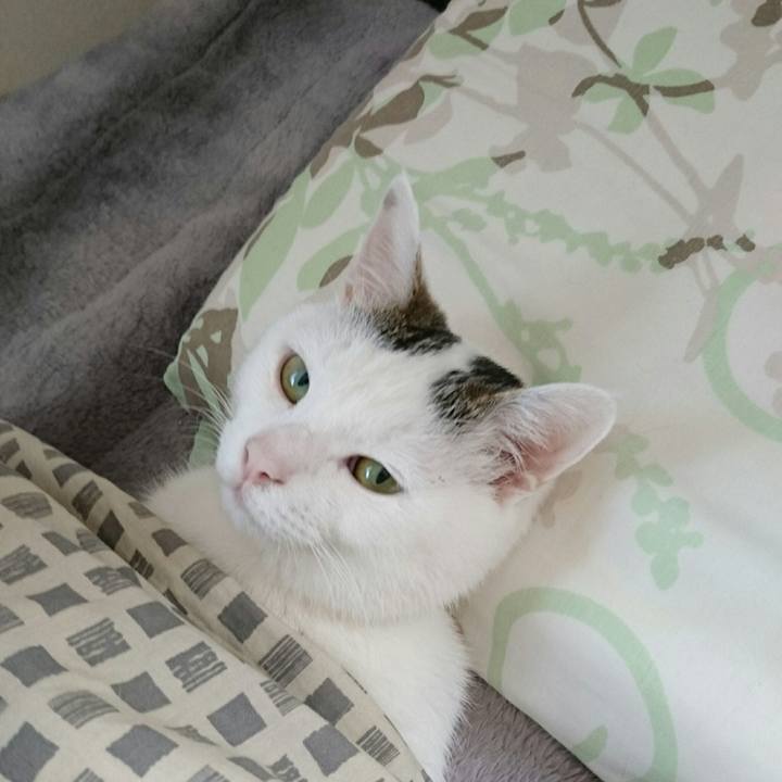 602d7b53 2f6a 48f6 a708 ea5252b0d8a7