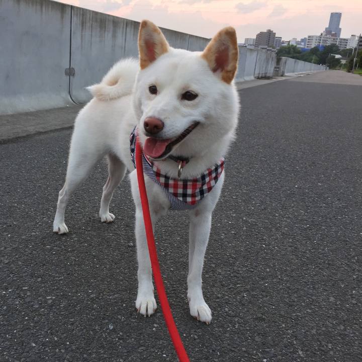 602de1f8 bff5 43df a3c2 e54f06174a1f