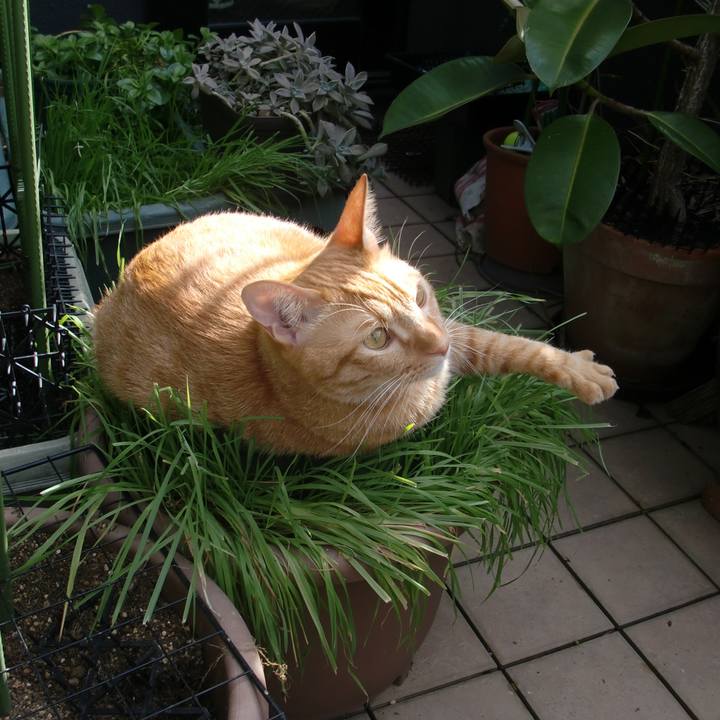 602f28fa a6d1 415f 992a fbfd79ce4c6d