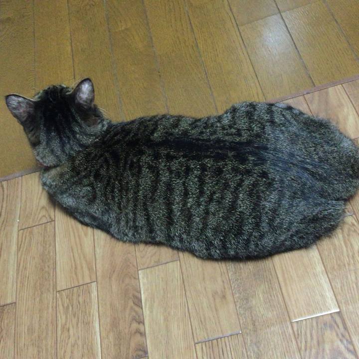 602f2bd5 59e1 4514 850c 518acf96a590