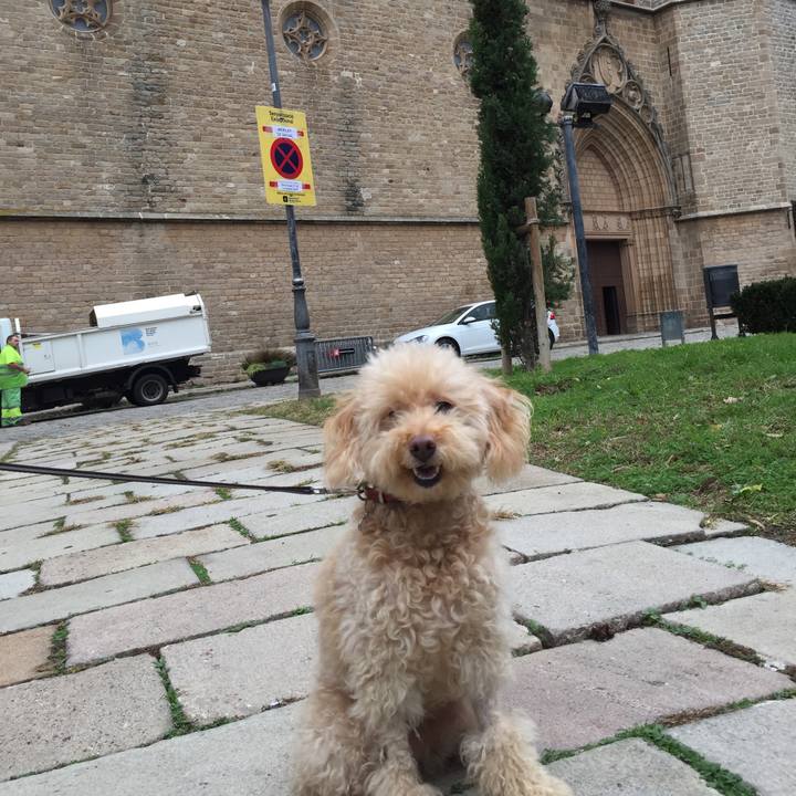 602f6712 1ee2 4e7d bc89 156c85c7a646