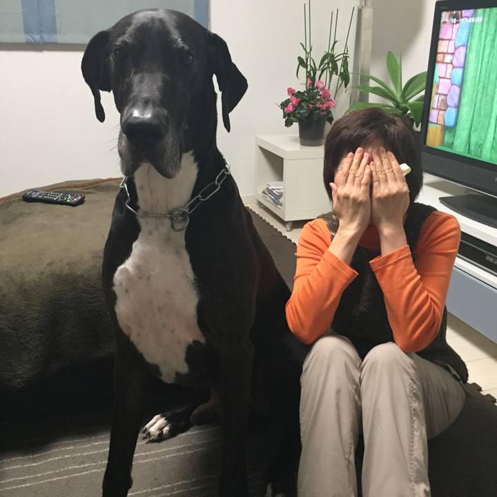 602f94aa 7197 4a05 8eb3 0484d177b6c9