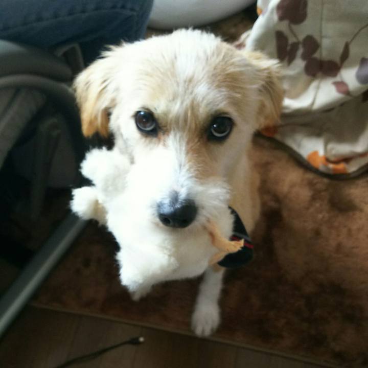 602faf31 b017 42d2 aa13 2856cbbe4db8