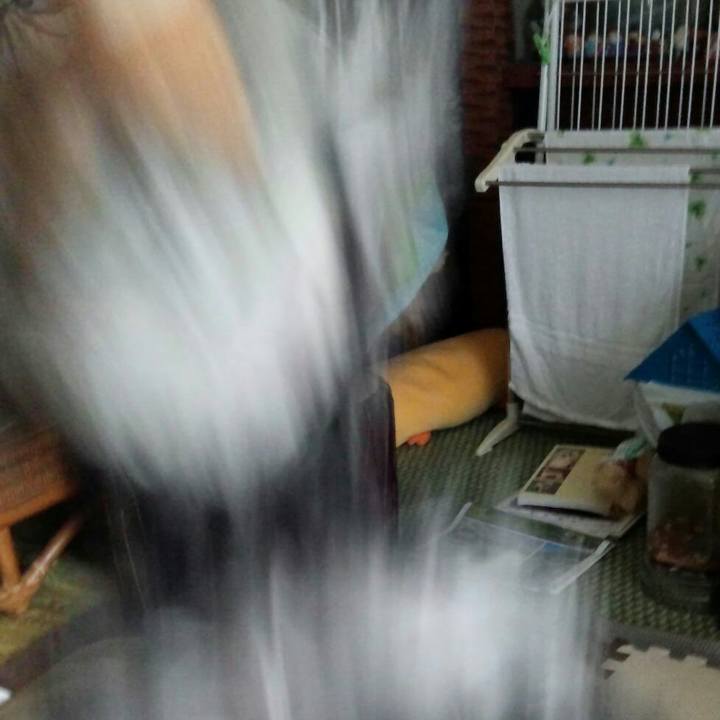 602fd322 8357 40c2 a4f5 253019b118b0