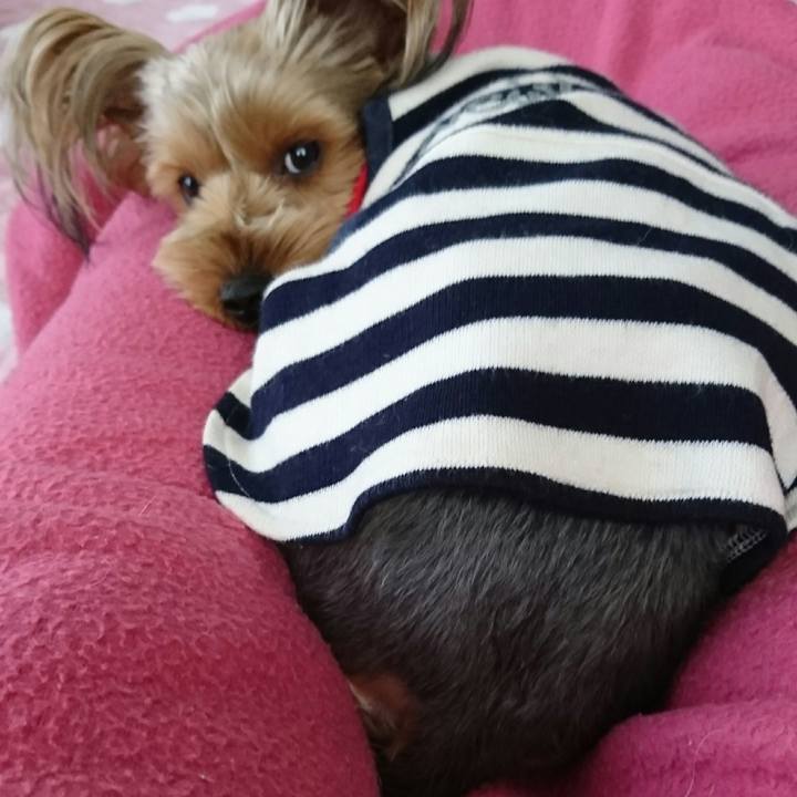 602fefb9 9072 40c8 ac2c 51bc95a581ff