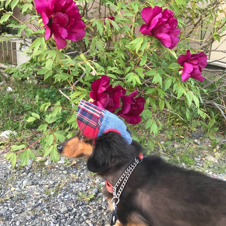 602ff394 d00e 473b 840c 1c404970d67e