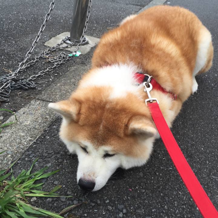 60310b05 c9d9 4119 9f47 8a9f5f2324e8