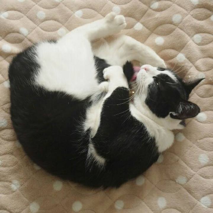 6031a8cf 7a0c 46c1 bcec 1b727ef70dc6