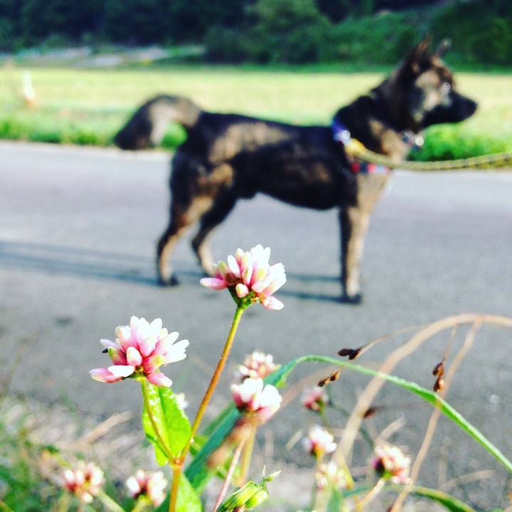 6031e5c9 a025 44e4 9627 f56065a2972b