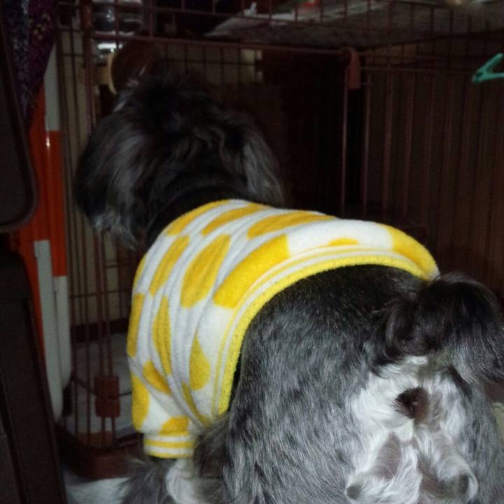 60328278 1b60 4bd5 b234 017afe4d9fe2