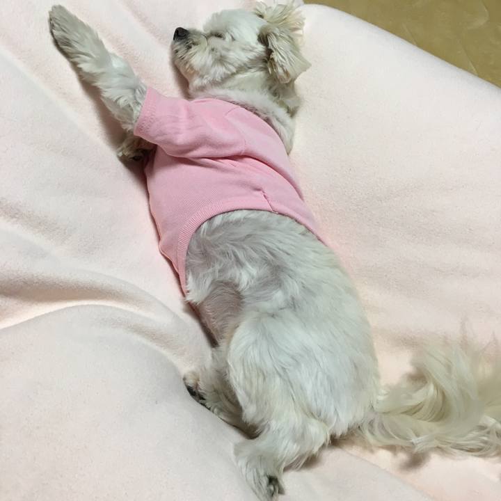 6033b5f0 308a 469a bd54 3f1257be2e7b