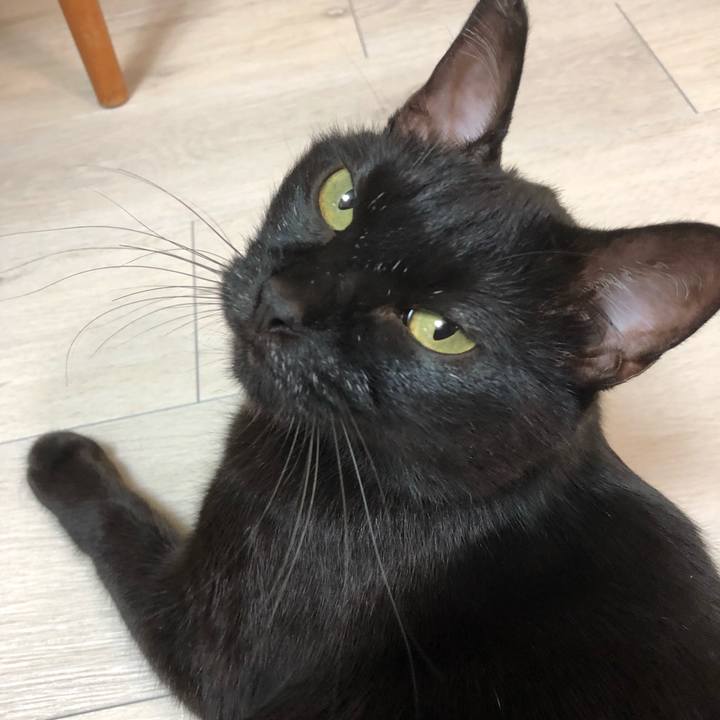 6033d1b6 097c 4091 a2c1 0fbc28d5198c