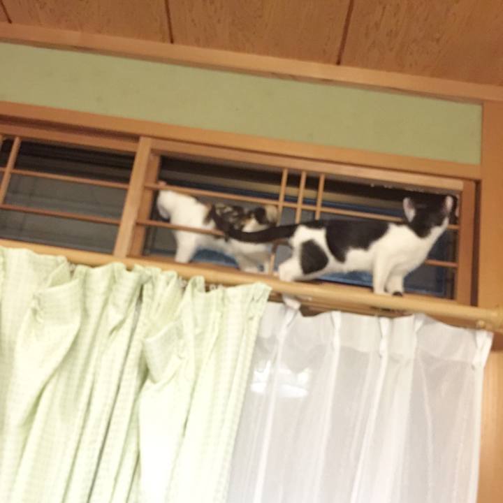 6033fb1e db8d 4a66 ad95 f5e7e07350bb