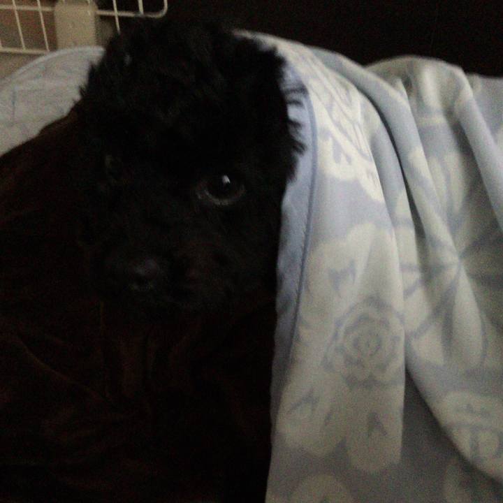 6034dd11 c608 4aae 92db 493c86f87bee