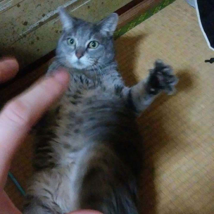 603587aa 2d45 4ab1 9694 01c4ea1ad1fc