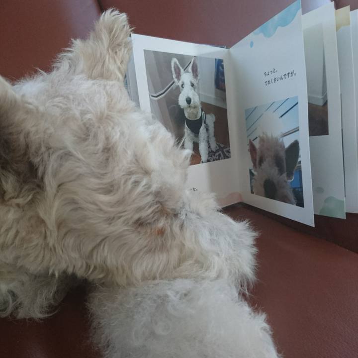 6035caaf edcc 497d ada0 9bf5bc1495d7