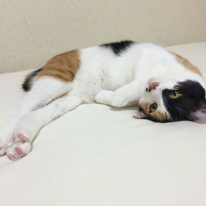 603693a5 a413 48a8 9b4c 742923eb7b7e