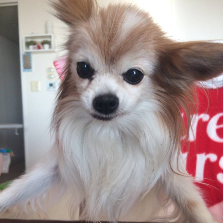 6036f7b6 9ccb 492a 9844 5647c23c871d