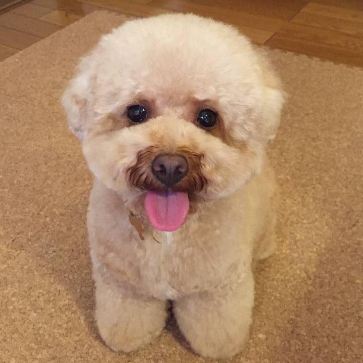 60374aa2 99ea 4a29 9d28 81b51777b73c